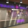 SteelWeave security grille installed in a retail storefront providing visibility and security.