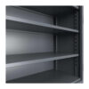 43-242-Shelves