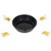 resized_500x500_300ppi_123.png